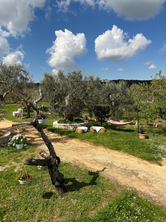 בית הארחה אלברובלו 	Trulli Barsento מראה חיצוני תמונה