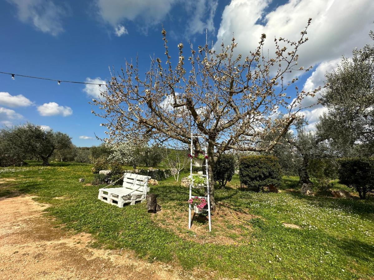 בית הארחה אלברובלו 	Trulli Barsento מראה חיצוני תמונה